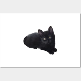 Black Kitten Posters and Art